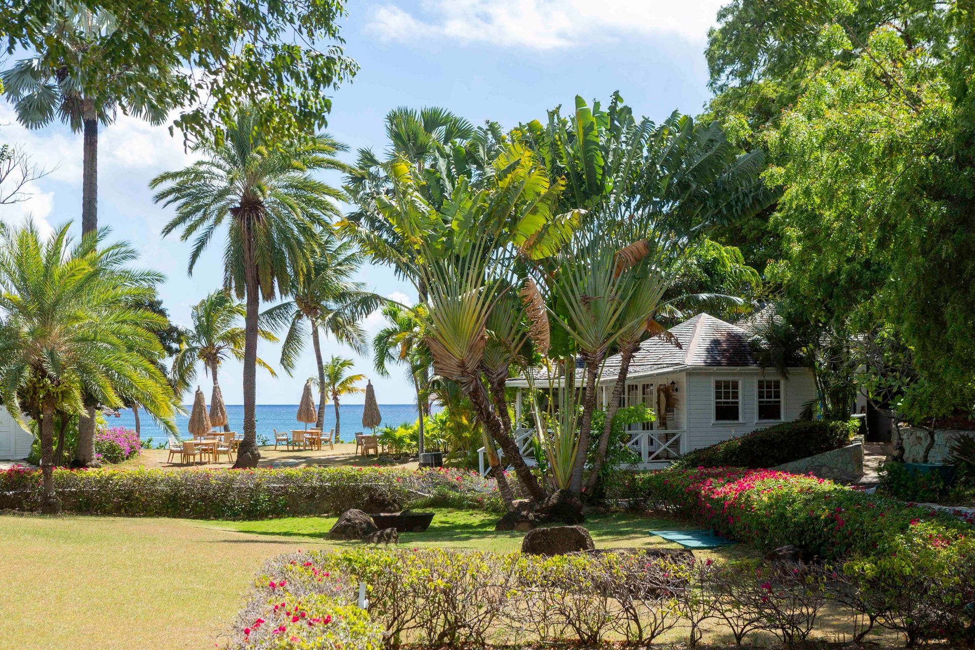 Beachside dining under palm trees at The Inn at English Harbour